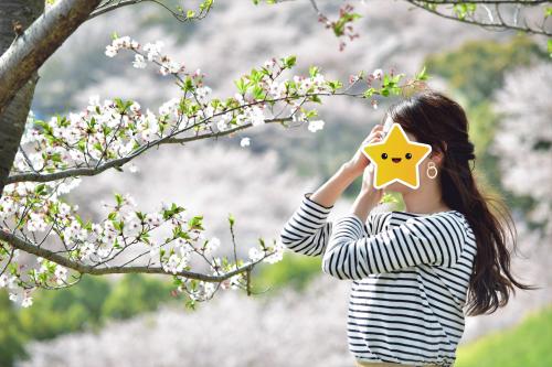 blog sakura.jpg
